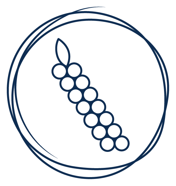 black pepper seed extract icon