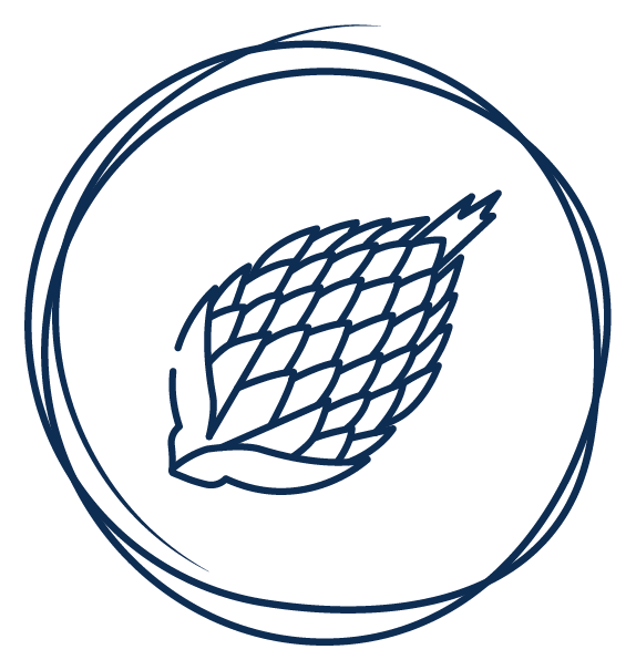 milk thistle extract icon